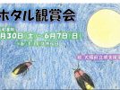 【百舌鳥】イベント「令和8年度 ホタル観賞会」が堺市都市緑化センターで開催！5月30日（土）～6月7日（日）まで