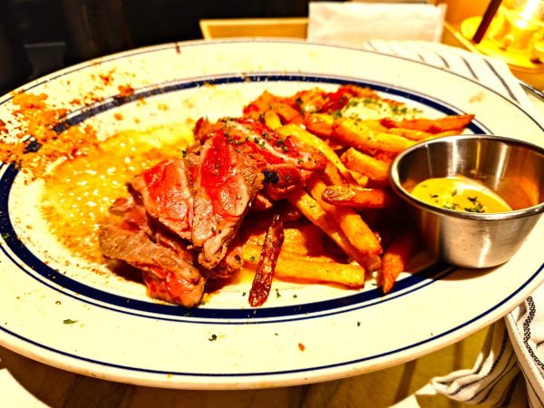 お肉料理の上からの写真、ポテトを添えて