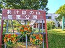 【柏市】初夏のピクニック日和に！6/14（日）あけぼの山農業公園で「ガーデンパークフェスティバル」開催！