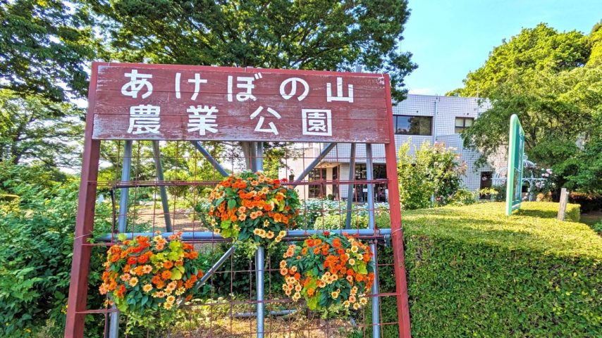 【柏市】初夏のピクニック日和に！6/14（日）あけぼの山農業公園で「ガーデンパークフェスティバル」開催！