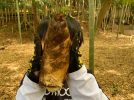 【流山市】親子で味わう、春のごちそうと“ほんもの体験” 前ヶ崎『気まぐれ市』たけのこ掘り体験レポート