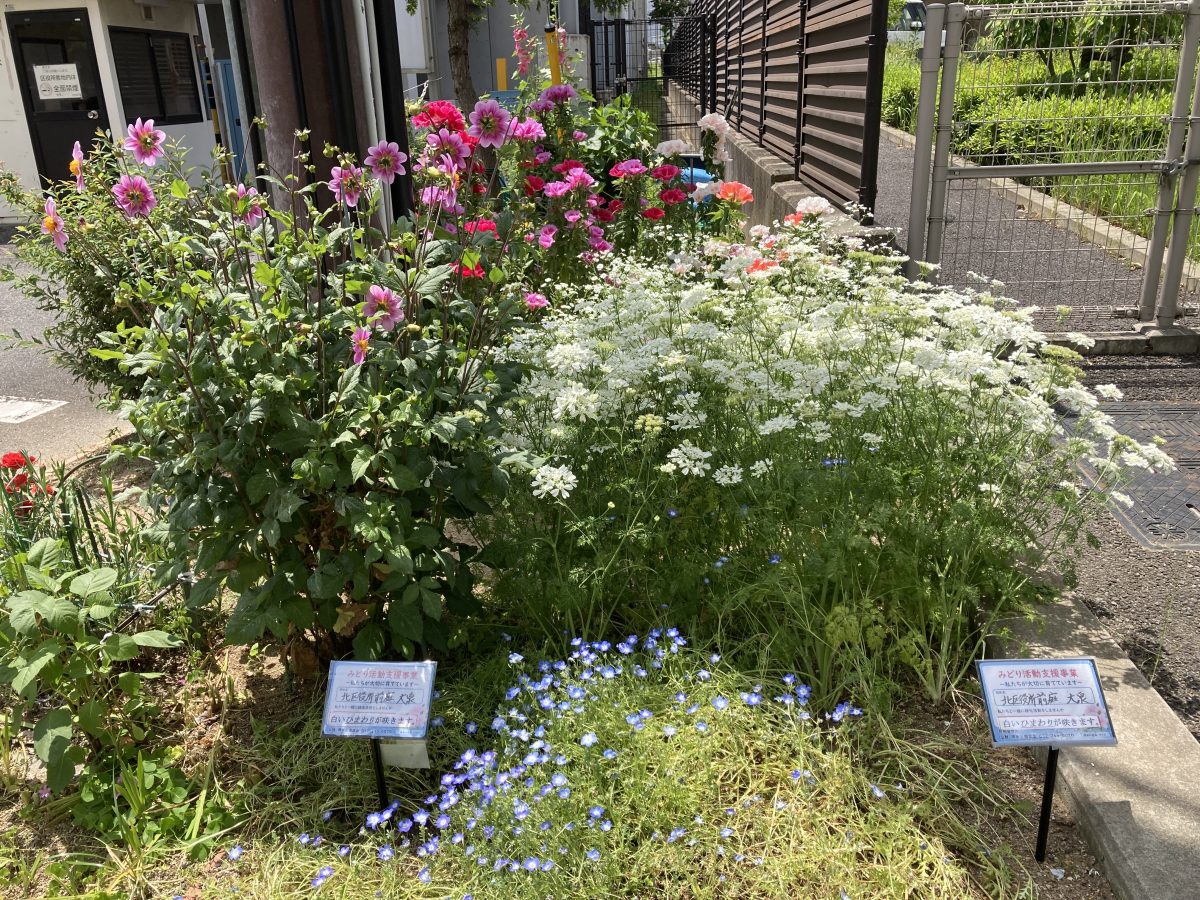 【新金岡】色とりどりの花が見頃なスポット