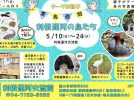 【流山市】5/10-16は愛鳥週間！「利根運河の鳥たち」展示は5/24まで。5/10,17はワークショップも！