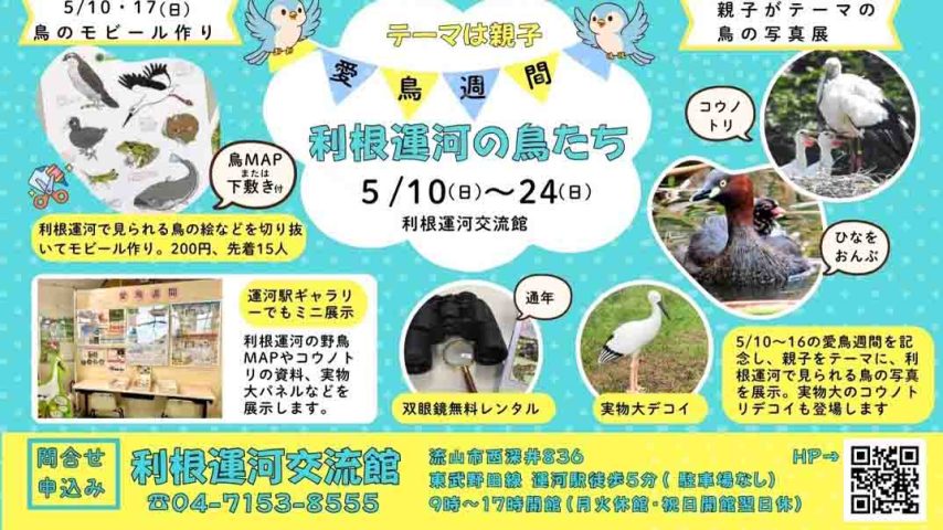 【流山市】5/10-16は愛鳥週間！「利根運河の鳥たち」展示は5/24まで。5/10,17はワークショップも！