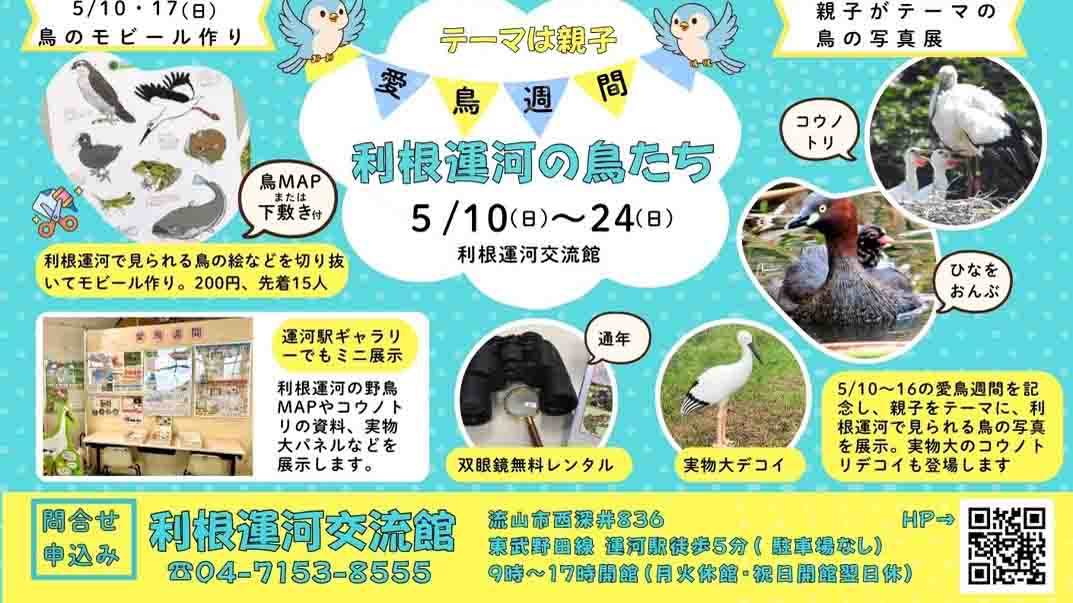 【流山市】5/10-16は愛鳥週間！「利根運河の鳥たち」展示は5/24まで。5/10,17はワークショップも！