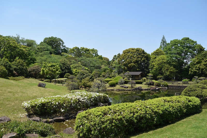 あけぼの山公園内「日本庭園」。紅葉の名所として知られますが、透き通るような新緑に包まれる庭園もまた格別です！