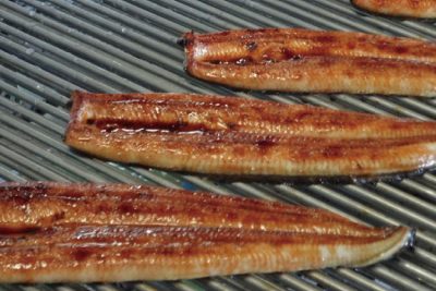 焼きたての絶品国産うなぎ!!