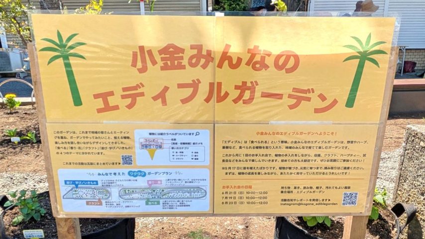 【松戸市】6/21(日)「小金みんなのエディブルガーデン」お手入れ会へ行こう♪