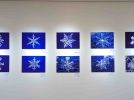 【柏市】パレット柏で感動！「空の探検家」武田康男さんの写真展で出会った、神秘的な空の奇跡3選