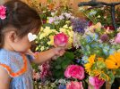 【流山市】花がつなぐ笑顔と未来 親子で楽しんだ「お花のテーマパークvol.3」開催レポート