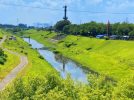 【流山市】「うん、来てよかった♡」自然豊かな利根運河で出会った身体と地球にやさしい一日【NAGAREYAMA Earthing Market®︎】レポート