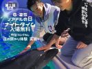 【堺】ノアドルフィンドームに「ノアドルの日」が誕生！6月25日(木)にはナイトタイム入場無料に！