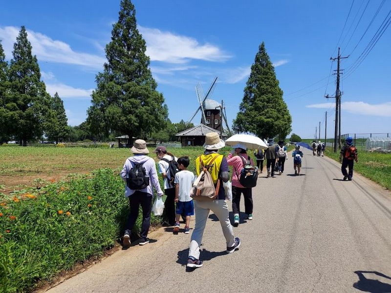 あけぼの山農業公園の風車を目指すツアー一行（2023年のツアーより）