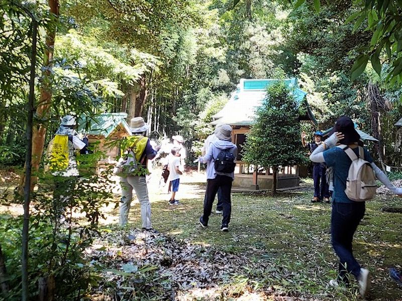 「神々の祠群」とよばれている、隠れた名所です。木々に囲まれた空間が、神秘的な雰囲気でステキです。