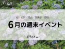 【今週末のイベントまとめ♪】2026年6月13日(土)〜14日(日)編