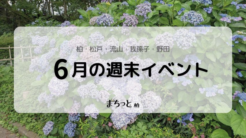 【今週末のイベントまとめ♪】2026年6月13日(土)〜14日(日)編