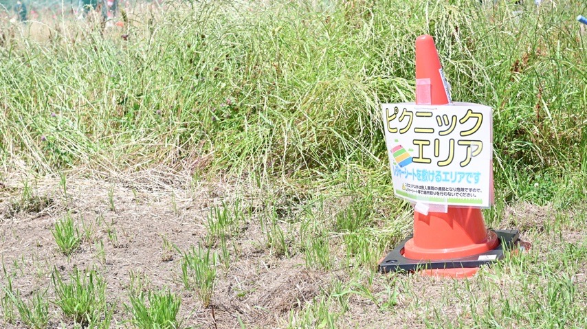 テントやレジャーシートは指定のエリアで設置できます。