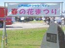 【松戸市】「江戸川松戸フラワーライン春の花まつり」に行ってきました！