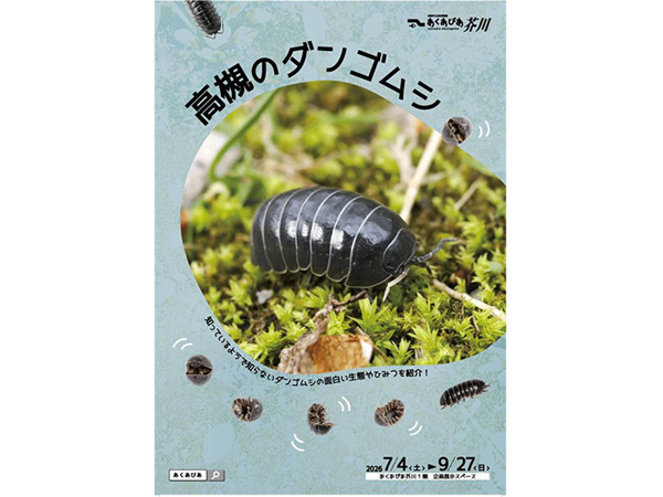 【高槻市】夏休みの自由研究に！ 自然博物館でダンゴムシの企画展