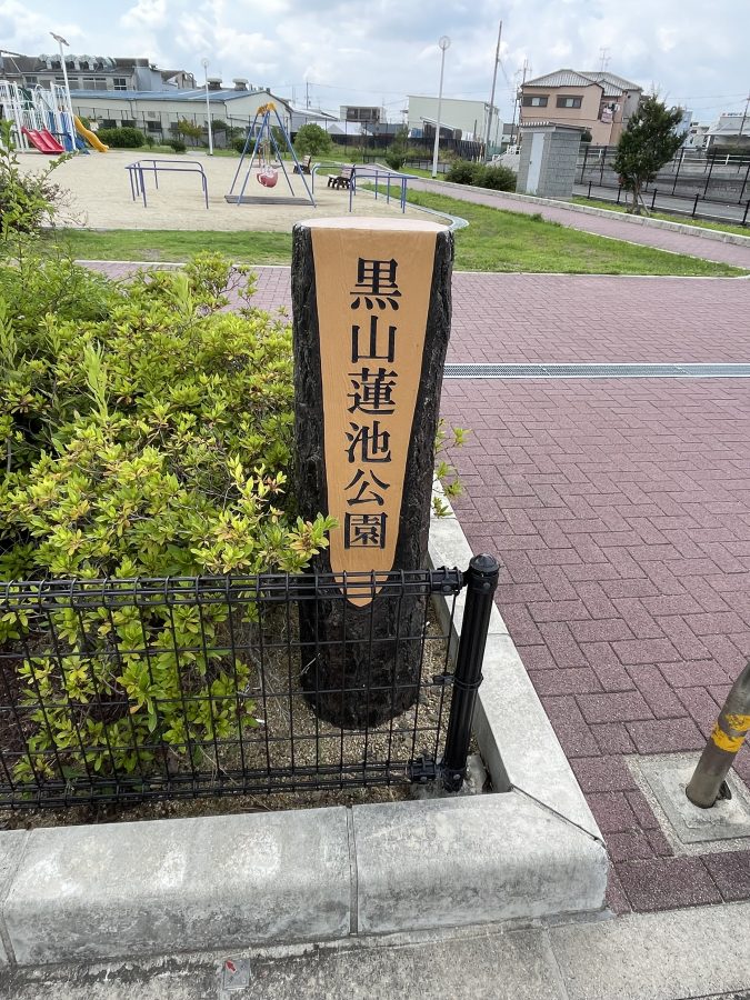 【北野田】ショッピングついでに行きやすい黒山蓮池公園