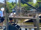 【野田市】夏休みどこ行く？清水公園で国内最大級アスレチック＆アクアベンチャー！親子で一日遊び尽くしレポ