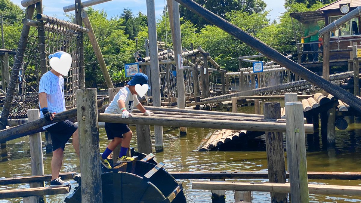 【野田市】夏休みどこ行く？清水公園で国内最大級アスレチック＆アクアベンチャー！親子で一日遊び尽くしレポ