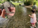 【流山市】クワガタ発見！水遊び・昆虫探し♪子どもが夢中になる夏休み最強スポット「野々下水辺公園」