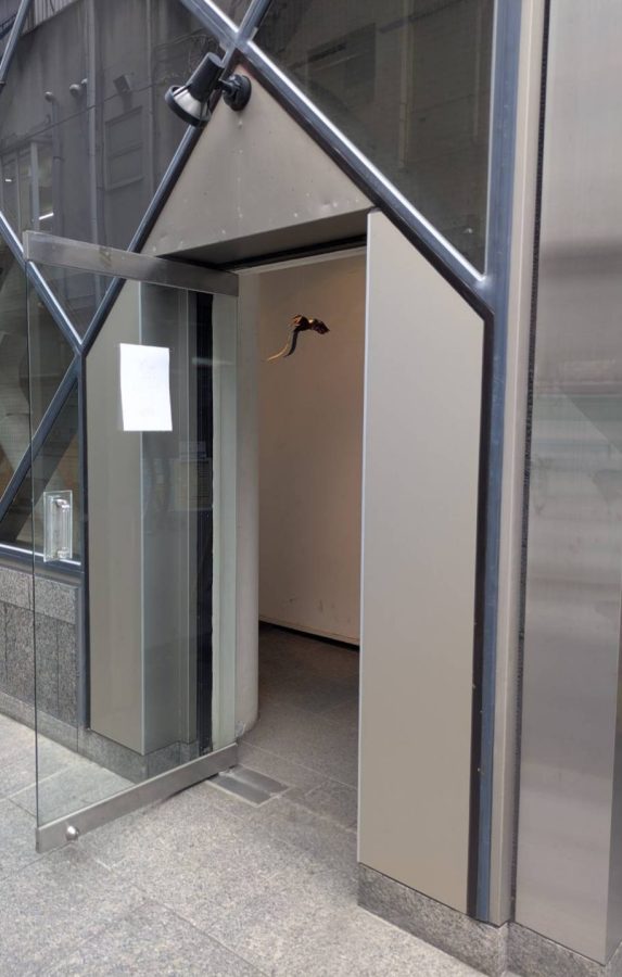 入口の空中には勝川さん(門番)の折り紙作品が飾られています。画像は野馬土手ヨコより提供。