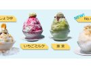 【柏市】国指定重要文化財「旧吉田家住宅歴史公園」でひんやり涼む♪夏限定かき氷を楽しもう‼︎