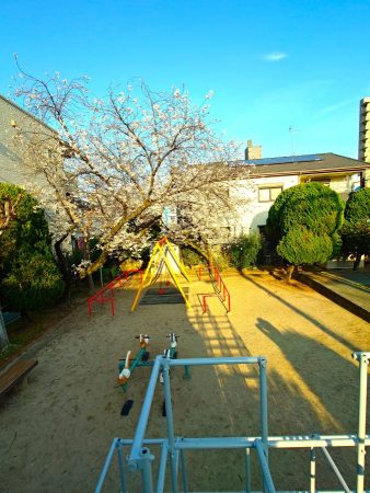 大きめのジャングルジムの登った、上からの景色