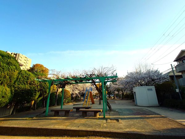 藤棚の下のベンチ