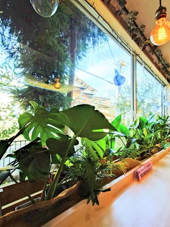 カウンター席の景色、モンステラと手作りのマンボウモビール