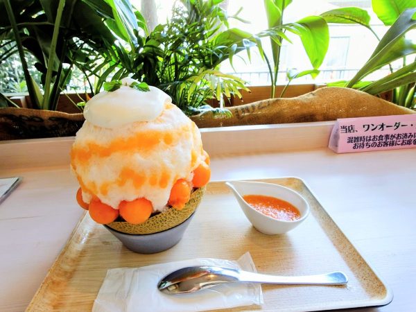 オレンジ色のメロンが丸く盛り付けられたメロンを味わい尽くせる豪華かき氷