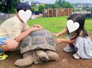 【流山市】ついに「まちの動物園」が開園！親子ふれあい体験レポート