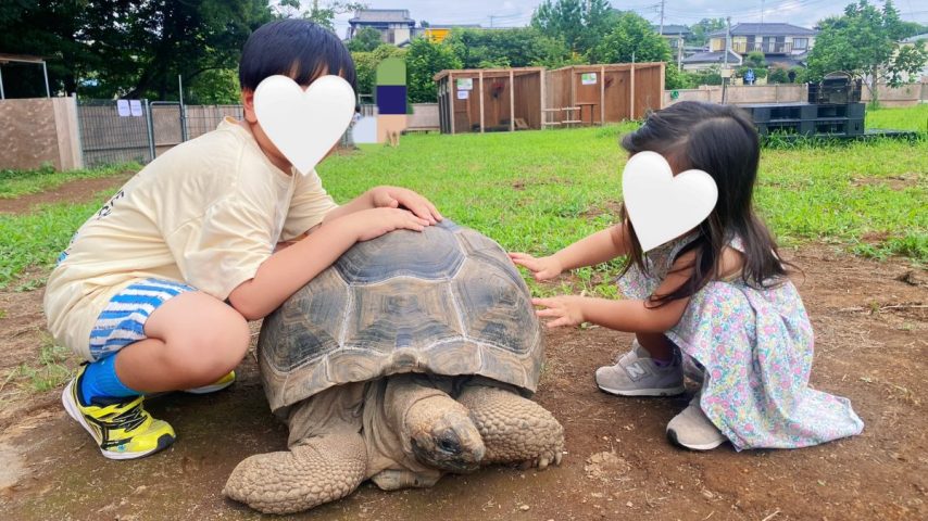 【流山市】ついに「まちの動物園」が開園！親子ふれあい体験レポート