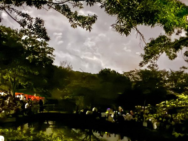 手賀沼花火大会　北柏ふるさと公園の様子