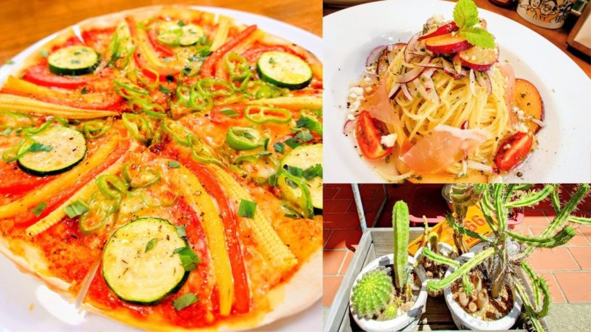 【茨木市】夏が来たら食べたい！「カフェ カクタス」の冷製パスタと夏野菜ピザ