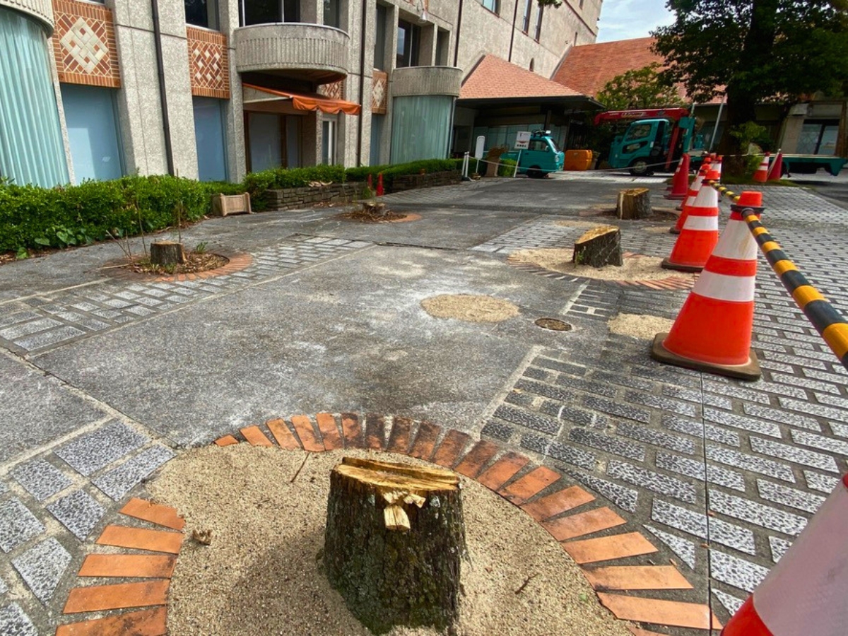 2026年8月27日撮影。ホテル前に並んでいた木々も伐採され、見慣れた景色が大きく変わっていました