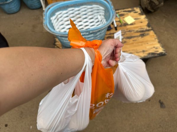 おまけの梨