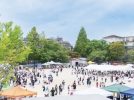 【松戸市】9/19（土）20（日）「第3回みんなの秋祭り」上本郷小校庭・体育館で開催！