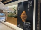 【松戸市】松戸駅直結。自然由来の素材で身体に優しいパン屋さん【Merci life organics（メルシーライフオーガニックス）】