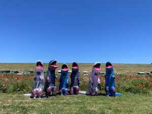 過去の開催時の様子（画像は松戸市より提供）